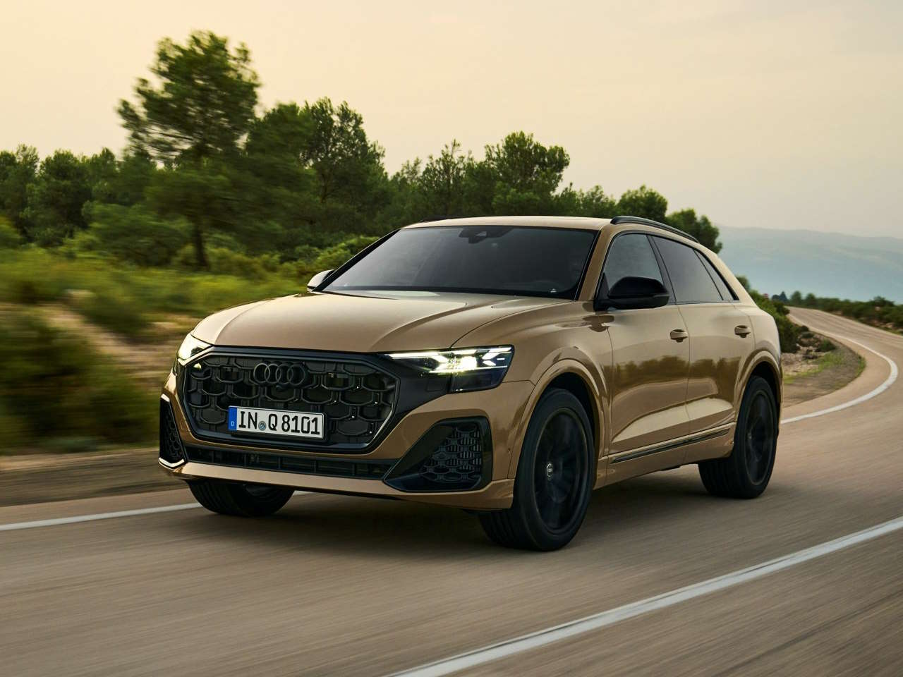 AudiQ8